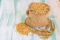 Paddy rice seed in a Burlap sack. Royalty Free Stock Photo