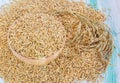 Paddy rice seed in a wooden bowl Royalty Free Stock Photo