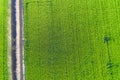 Paddy rice terrace aerial shot green background Royalty Free Stock Photo