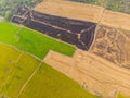 Paddy rice various plantation field yellow green and dry after harvest aerial view Royalty Free Stock Photo