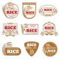 Paddy rice vector labels. Organic natural product emblems