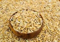 Paddy seed in wooden bowl background Royalty Free Stock Photo
