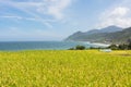 Paddy terrace farm near the sea