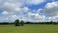 paddy view under the blue sky with clouds in Chiang Mai