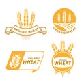 Paddy Wheat rice organic grain products food banner sign vector design Royalty Free Stock Photo