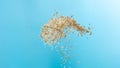 Paddy white Rice grain fly in mid air. Yellow Golden Paddy Rice falling scatter, explosion float in shape form line group. Blue