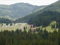 Mountain forest and Padina Strungii valley