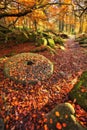 Padley Gorge in the Autumn & an old millstone whee Royalty Free Stock Photo