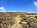 Padley Gorge in Derbyshire Peak District