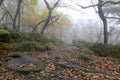 Padley Gorge Derbyshire Peak District