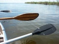 Paddling near caimans in Esteros del Ibera Royalty Free Stock Photo