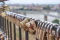 A padlock attached to a bridge railing in a spring park. Lovelock.