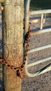 Padlock and chain around wood post and metal farm gate. Royalty Free Stock Photo