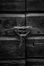 padlock on a chain securing old wooden door Royalty Free Stock Photo