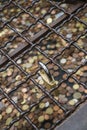 A padlock hanged over coins to making wish