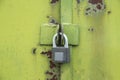 Green with rust iron gate closed on the lock Royalty Free Stock Photo