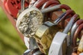 Padlock, which symbolically embodies the feelings of lovers and newlyweds to each other and acts as a pledge of their loyalty Royalty Free Stock Photo