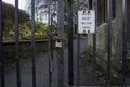 Padlocked Castle park gates Royalty Free Stock Photo