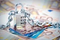 Padlocked money and cards Royalty Free Stock Photo