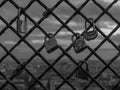 Padlocks as a symbol of love on a fence Royalty Free Stock Photo