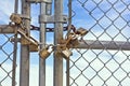 Padlocks Chainlink Fence Royalty Free Stock Photo