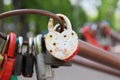 Padlocks Royalty Free Stock Photo