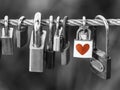 Padlocks with heart shape on rope bridge over black and white background Royalty Free Stock Photo