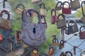 Padlocks love locks on a bridge railing Royalty Free Stock Photo