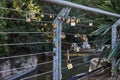 Padlocks symbolize unity and love forever. Locks hanging on fence ropes in the park