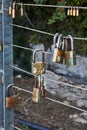 Padlocks symbolize unity and love forever. Locks hanging on fence ropes in the park