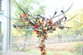 Padlocks on a tree in a park on a background of trees