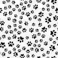 Pads of cat paws seamless pattern. Animal paw prints on ground. Pets and wild animals. Simple black and white vector isolated on Royalty Free Stock Photo