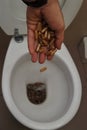 pads thrown into the toilet