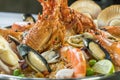 Paella with fresh lobster, scollops, mussels and prawn, Close up Royalty Free Stock Photo