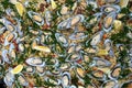 Paella with mussels and rice Royalty Free Stock Photo