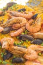 Paella with shrimps and mussels Royalty Free Stock Photo