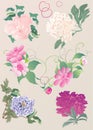 Paeon flowers illustration Royalty Free Stock Photo