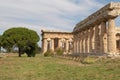 Paestum Royalty Free Stock Photo