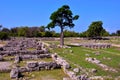 The ancient ruins Paestum Italy Royalty Free Stock Photo