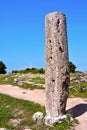 The ancient ruins Paestum Italy Royalty Free Stock Photo