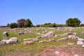The ancient ruins Paestum Italy Royalty Free Stock Photo