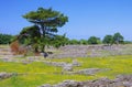 Paestum excavations Royalty Free Stock Photo