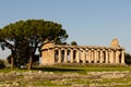 Greek Temples of Paestum - Poseidonia