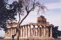 Paestum,Italy