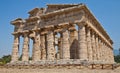 Paestum temple - Italy Royalty Free Stock Photo