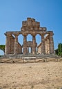Paestum temple - Italy Royalty Free Stock Photo