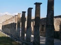 Paestum templi -Hera,Neptune, Athena- in Cilento, South Italy. centuries of Greek domination