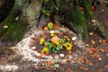 Pagan altar and spiral works outside next to a tree. Royalty Free Stock Photo