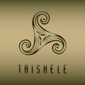 Pagan celtic symbol triskele on blur background