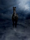 Pagasus Black Steed in Storm Clouds Royalty Free Stock Photo
